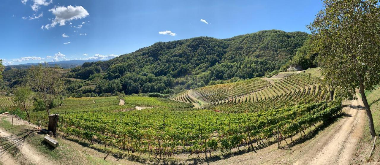 Cascina Bertolotto Wine Resort Spigno Monferrato Exterior photo